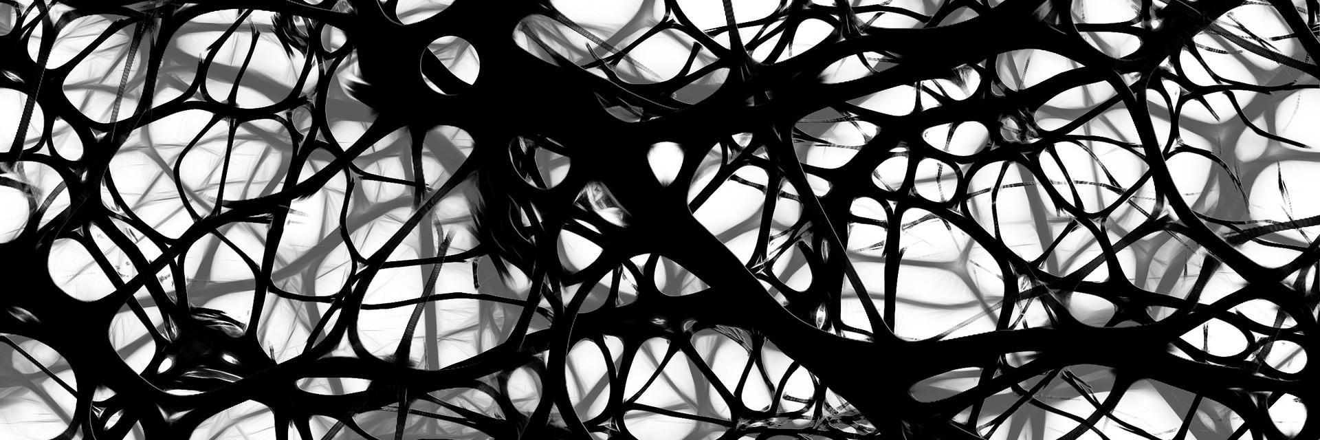 neurons